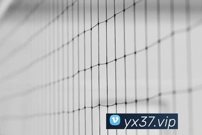 平台使命图